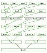 Систематика