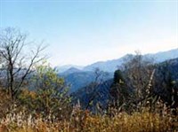 Сихотэ-Алинь