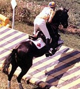 Скачки (преодоление препятствий)