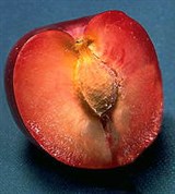 Слива (красные сливы)