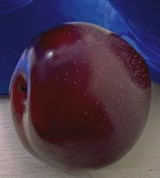 Слива (сливы)