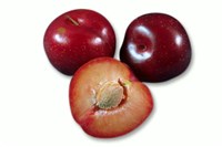 Слива [кулинария]