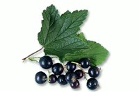 Смородина черная (домашнее консервирование)