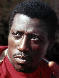 Снайпс Уэсли