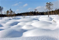 Снег (Карелия)