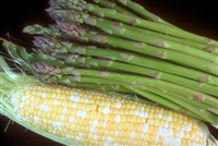 Спаржа (1)