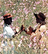 Спилберг Стивен ("Цвет лиловый")