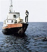 Спилберг Стивен ("Челюсти")