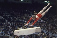 Спортивная гимнастика (опорный прыжок)