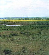 Степь (на Дону)