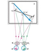 Стереоскопическое кино (схема просмотра)