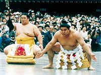 Сумо [спорт]