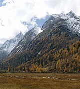 Сычуань (горы Лэшань)