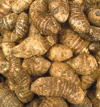 ТАРО (клубни)