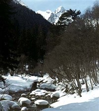 ТЕБЕРДИНСКИЙ ЗАПОВЕДНИК