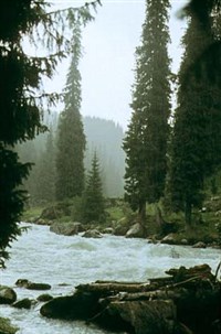 ТЕРСКЕЙ-АЛА-ТОО (горная река)