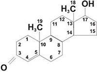 ТЕСТОСТЕРОН