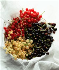 ТРАВЯНЫЕ СБОРЫ ДЛЯ БЕРЕМЕННЫХ (смородина)