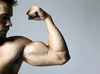 ТРЕНИРОВКА БИЦЕПСОВ (бицепсы)