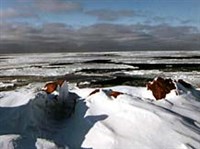 Таймырский автономный округ (Карское море)