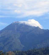 Тахумулько (вид)