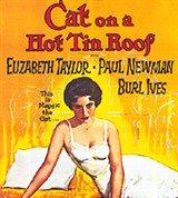 Тейлор Элизабет (Кошка на раскаленной крыше, плакат)