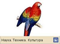 Телевидение (анимация)