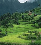 Террасы (в горах)