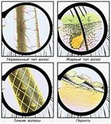 Типы волос