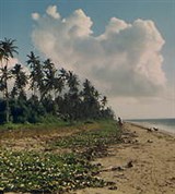 Того (атлантическое побережье)