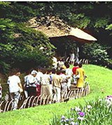 Токио (сад Мэйдзи)