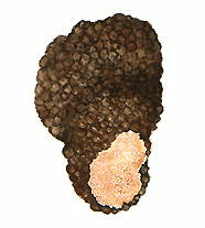 Трюфели (трюфель черный)