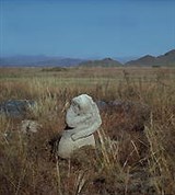 Тува (каменные идолы в районе пос. Бижиктиг-Хая)