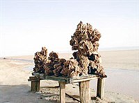 Тунисская Сахара (роза пустыни)