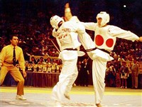 Тэквондо [спорт]