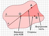 УГОЛ (части угла)