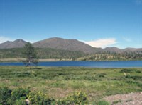 УДОКАН (вид)