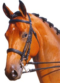 УЗДА (на лошади)