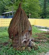 УЛЕЙ (в Абхазии)