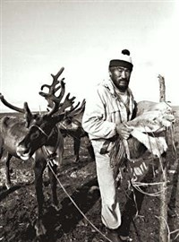 УЛЬЧИ (оленевод)