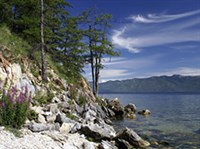 УШКАНЬИ ОСТРОВА (на берегу)