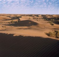 Узбекистан (пустыня Кызылкум)