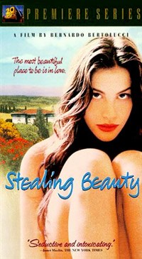 Ускользающая красота (постер)