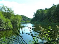 Усмань (вид на реку)