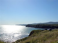 Уссурийский залив (вид)