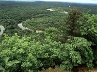 Уссурийский заповедник