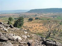 Уттар-Прадеш (сельскохозяйственный ландшафт)