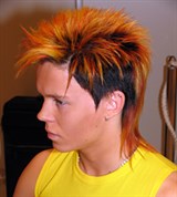 Уход за волосами (прическа)