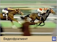 ФАВОРИТ (США) (трейлер)