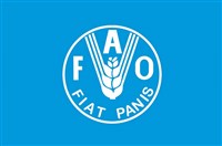 ФАО (флаг)